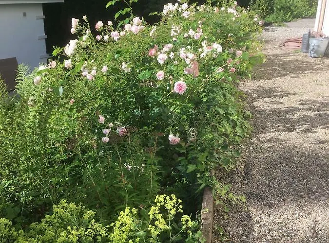 Am Markgrafenplatz Apartament *